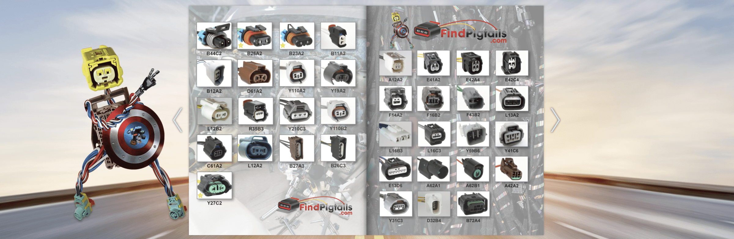 Catalog Find Pigtails