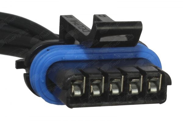 G31B5 is a 5-pin automotive connector which serves at least 1 functions for 1+ vehicles.