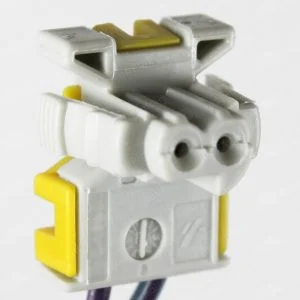 R52C2 is a 2-pin automotive connector which serves at least 1 functions for 1+ vehicles.