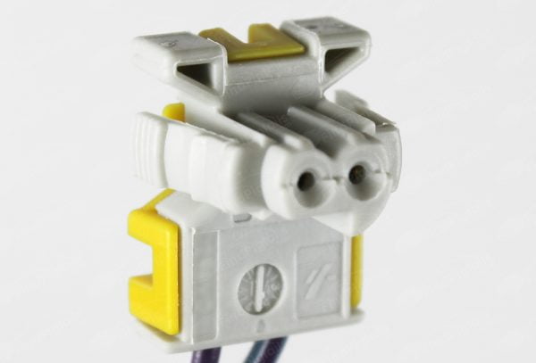 R52C2 is a 2-pin automotive connector which serves at least 1 functions for 1+ vehicles.