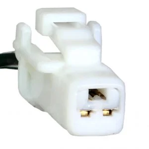 Y21B2 is a 2-pin automotive connector which serves at least 181 functions for 1+ vehicles.