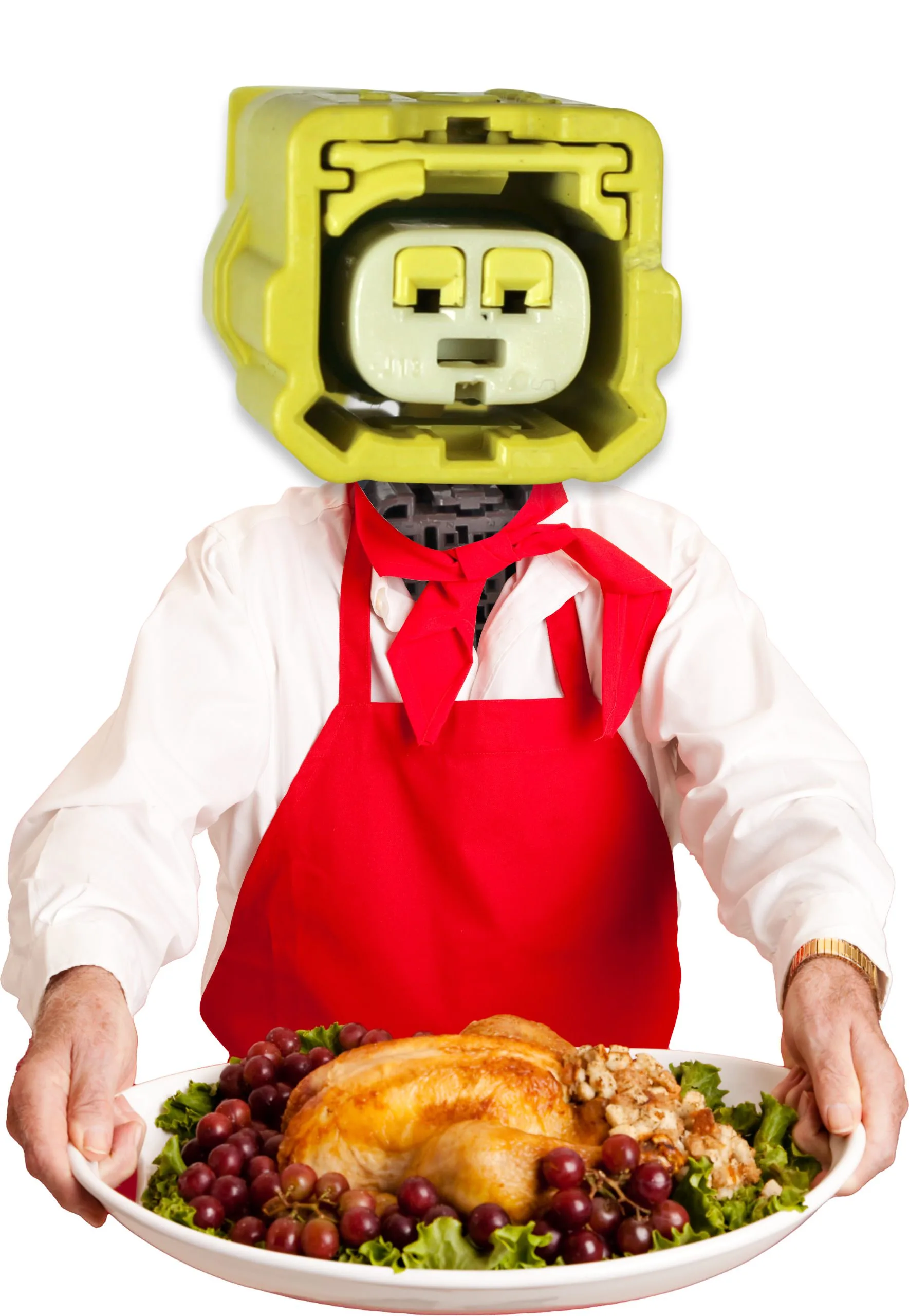 Turkey 01 Turkey 01