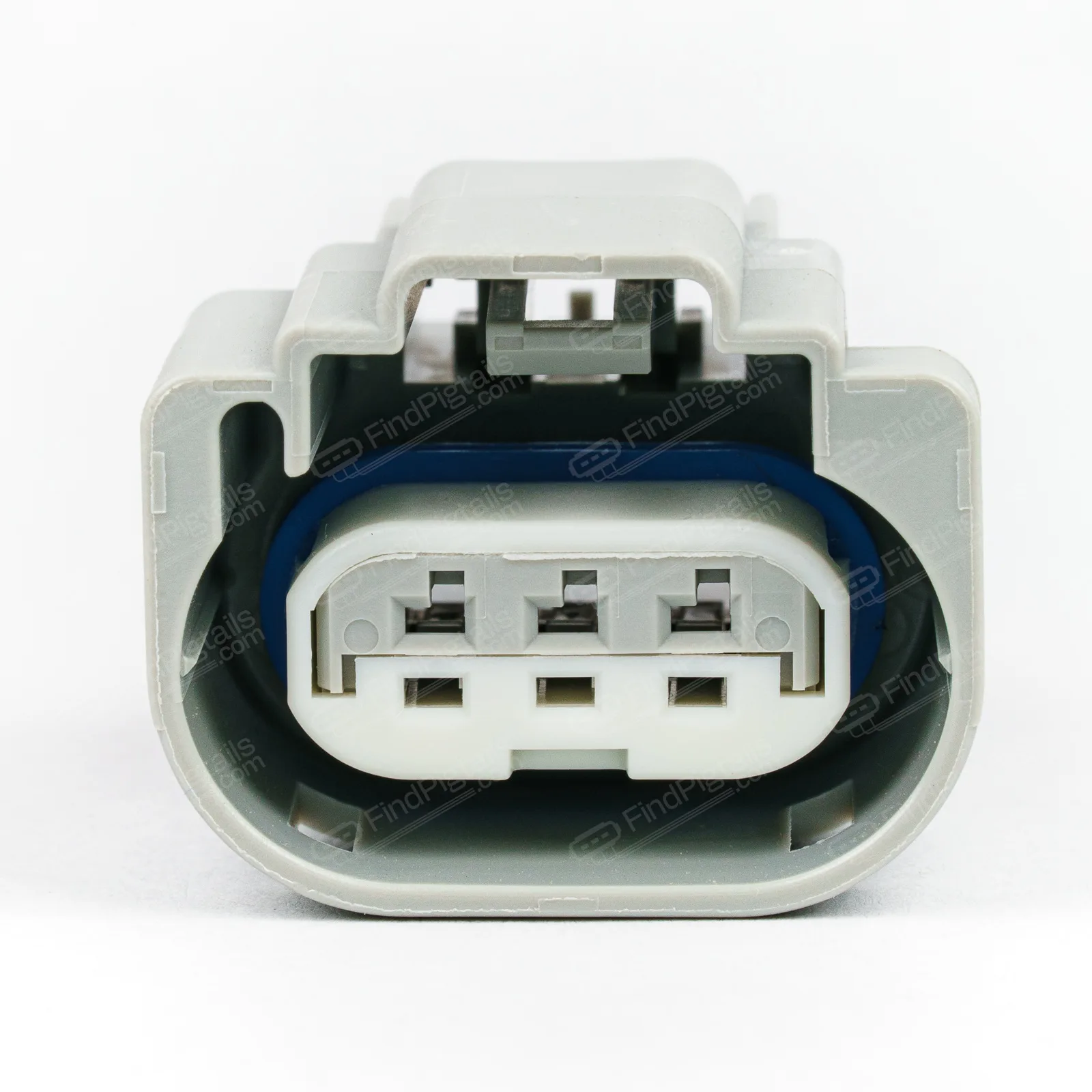 B31B3 - Image 2