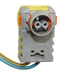 G21C2