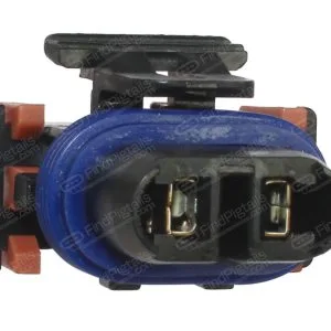 L43C2