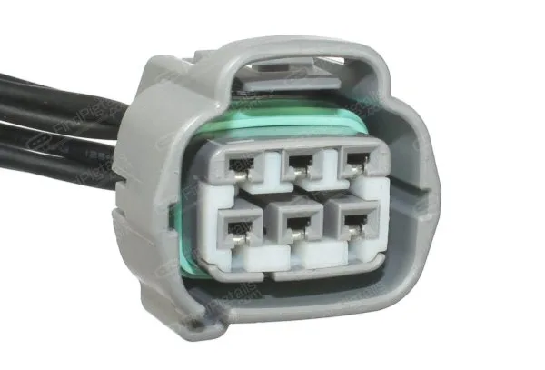 Y54C6