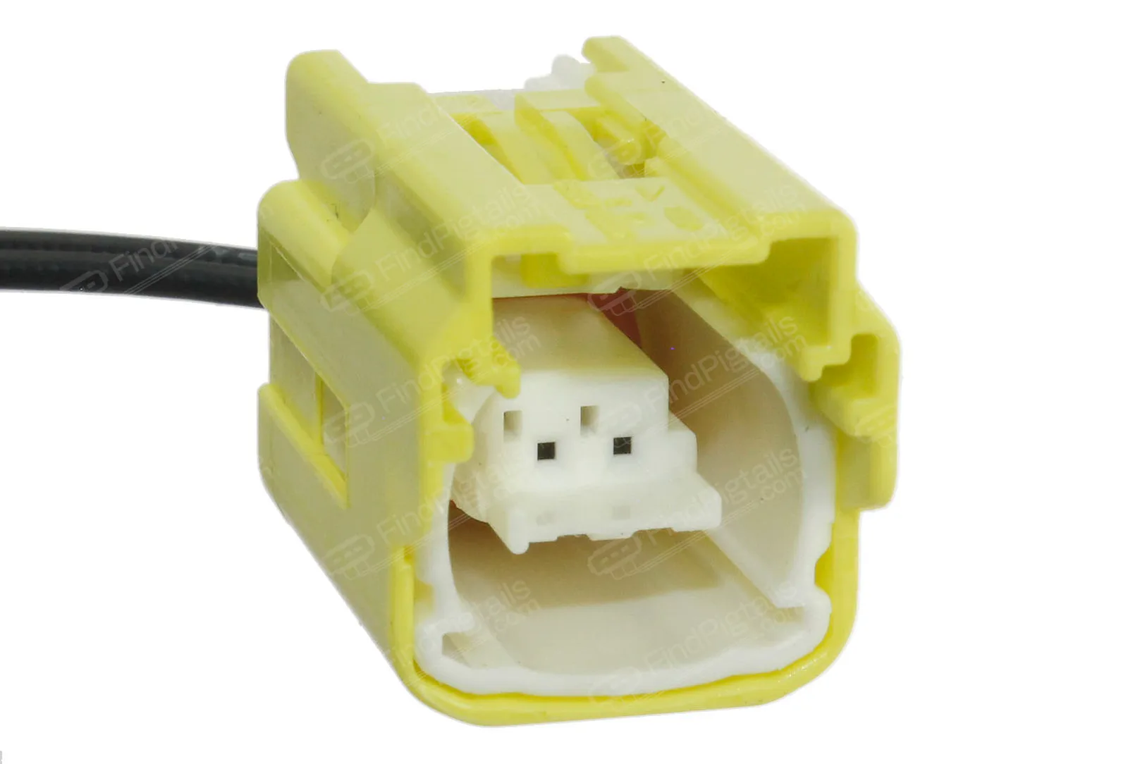 Y81B2