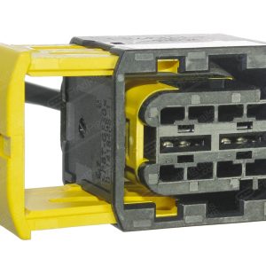 T13B2