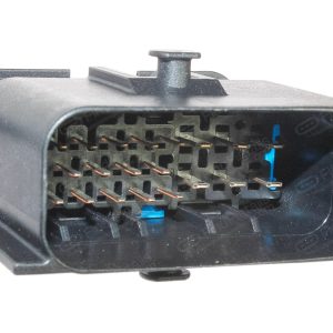 P22D20