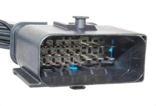 P22D20