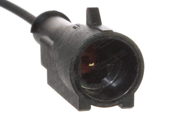 P32B1