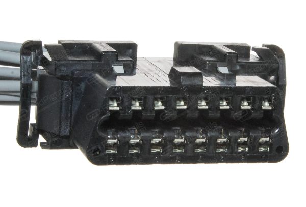 P36C16