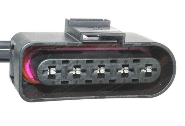 P65B5